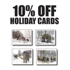 10% off