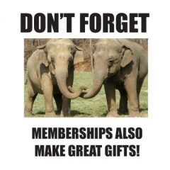 don't forget