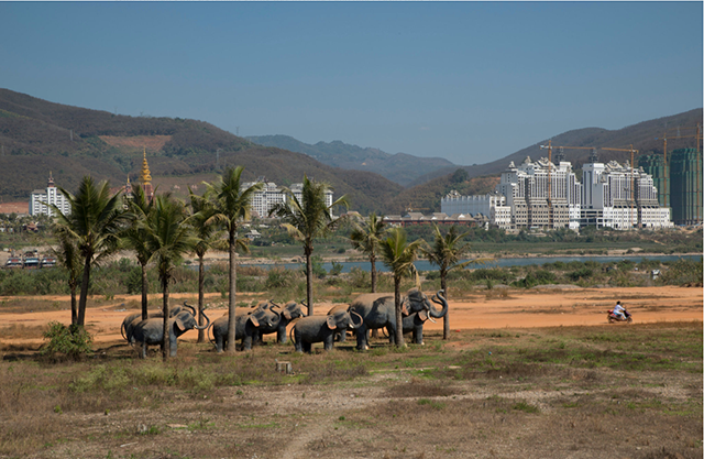 There is a growing affection for the elephant in China.