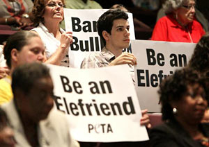 Ban Bullhooks!