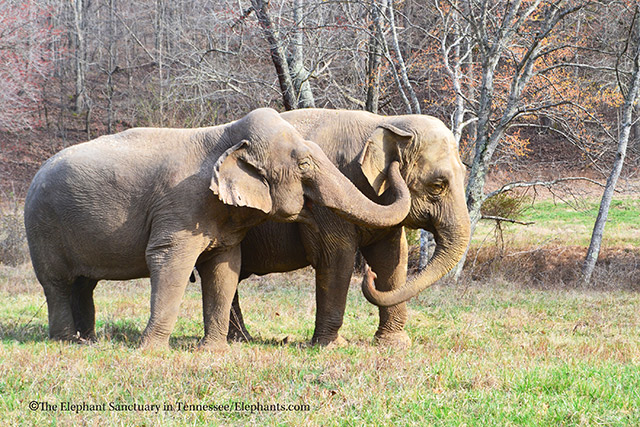 Ronnie (L) and Debbie