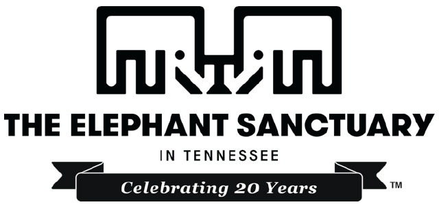 The Elephant Sanctuary