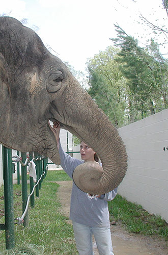 Joanna Burke and Tina