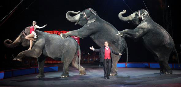 The first elephant since the ice ages arrived in NY City in 1796.