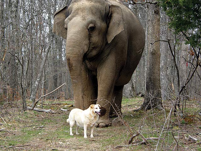 Tarra and Bella