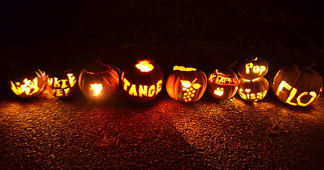 Carved pumpkins