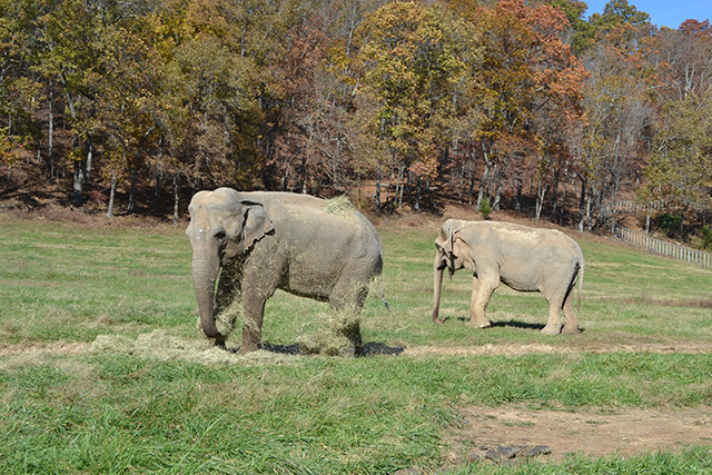 Frieda and Liz