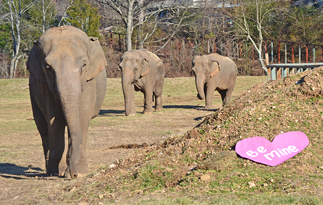 Debbie, Minnie, and Ronnie