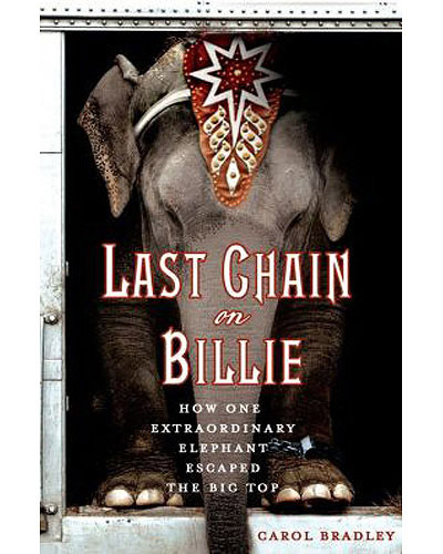 Last Chain on Billie, by Carol Bradley