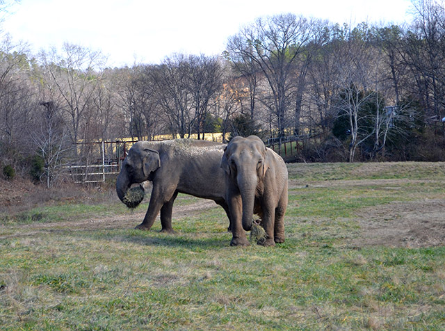 Frieda and Billie