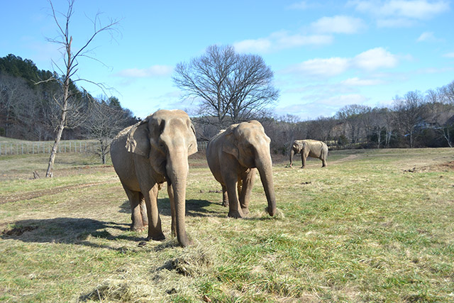 Liz, Billie & Frieda