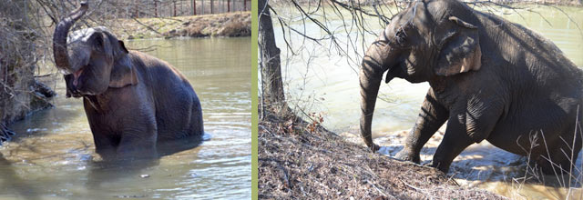 Debbie goes for a swim!