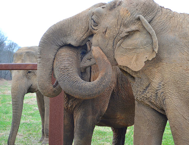 Minnie "Hugs" Ronnie while Debbie looks on