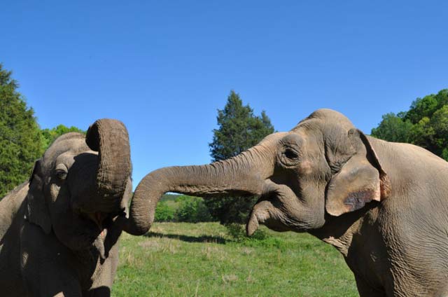 Shirley and Tarra celebrate Spring