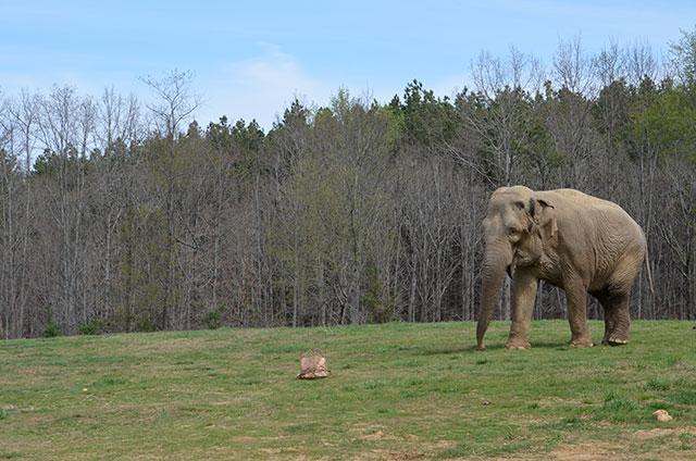 Misty finds a Spring treat.