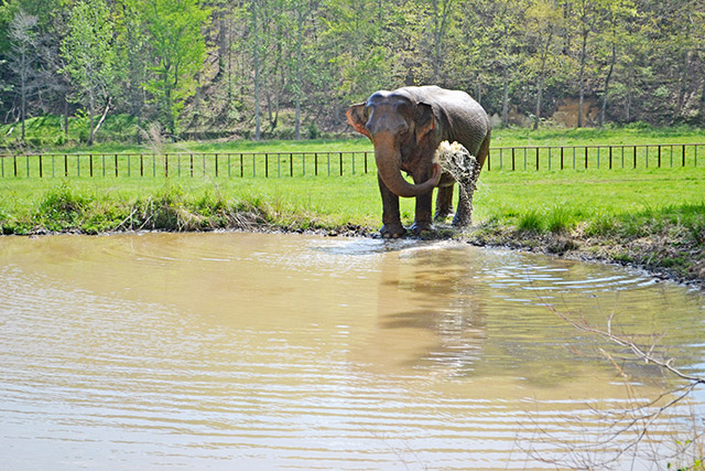 Billie at "Minnie's Pond"