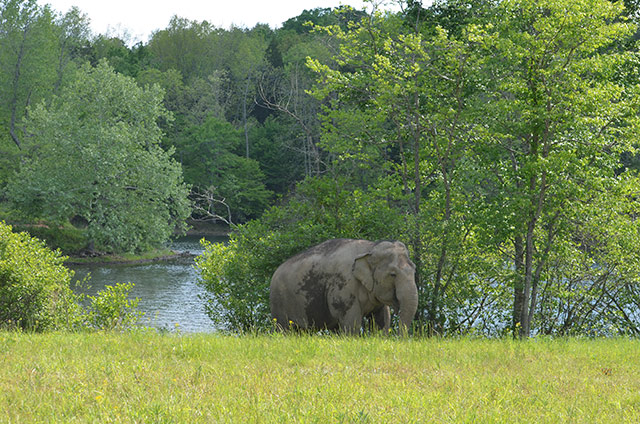 Tarra at the 25-acre lake