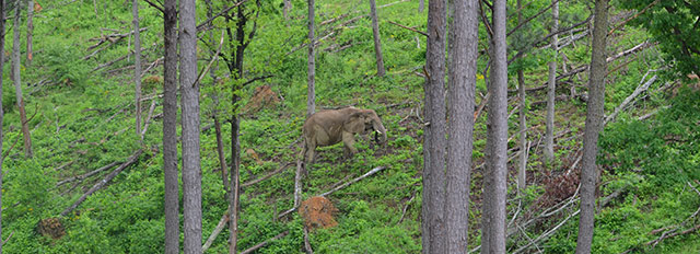 Tange in one of the green valleys she shares with Flora