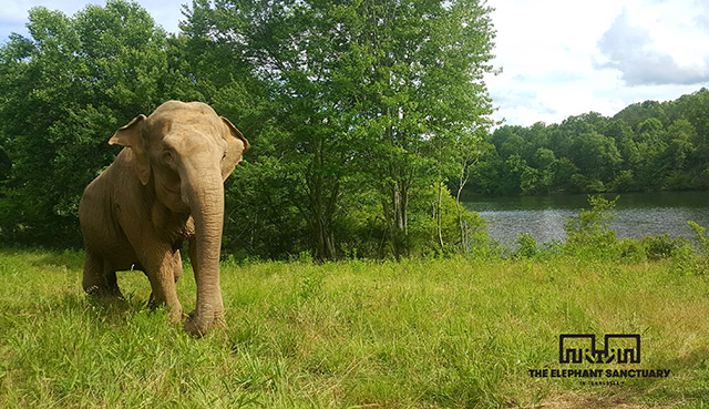 Shirley at the lake