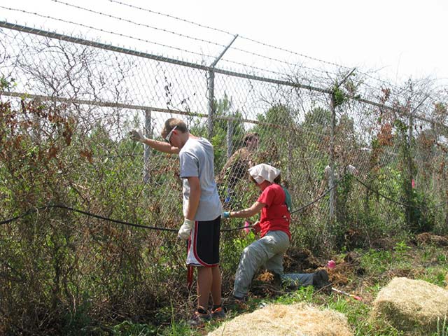 Volunteers