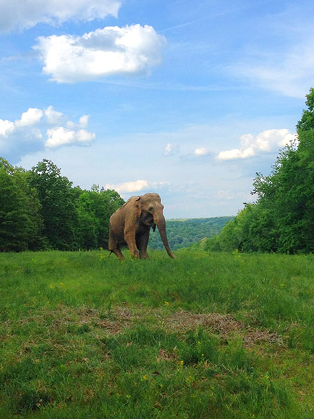 Shirley at Asia Habitat