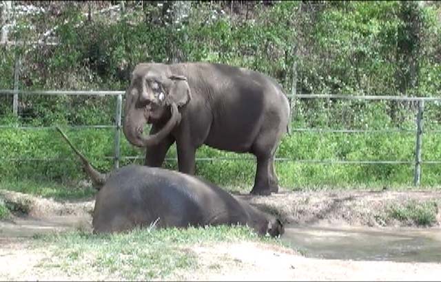 Frieda and Billie