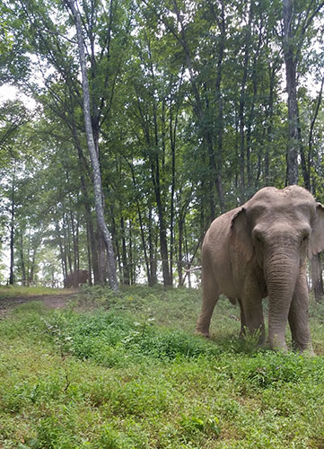 Ronnie in the foreground; Debbie at rear.