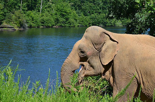 Shirley stands at The Lake