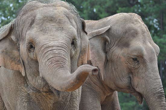 Dulary is very protective of her best friend Misty.