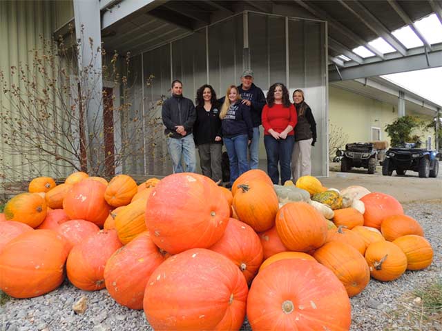 Pumpkin Drop