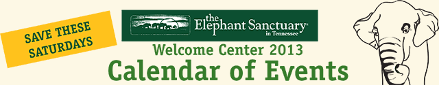 Image banner